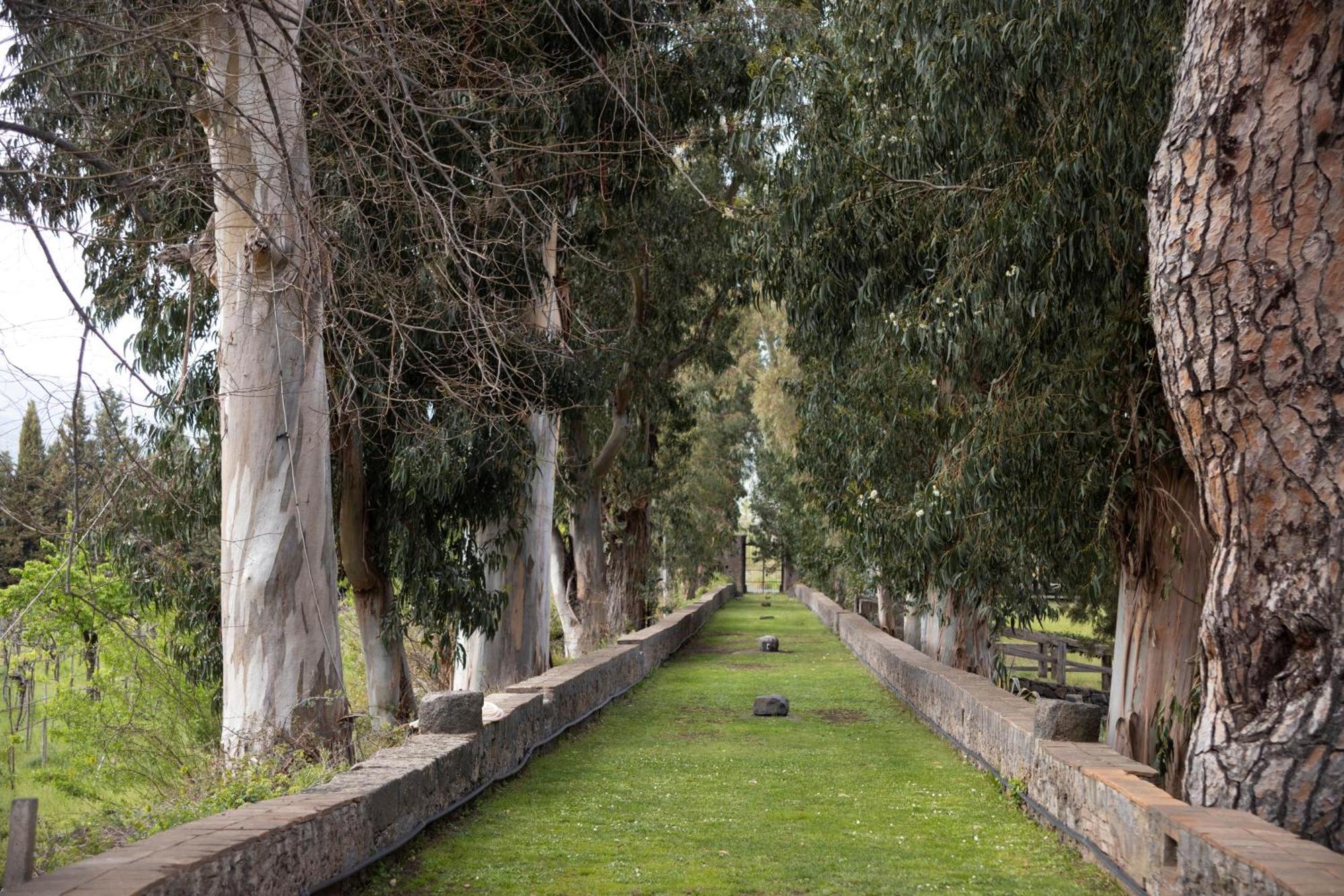 Parco Statella Villa Montelaguardia Екстериор снимка