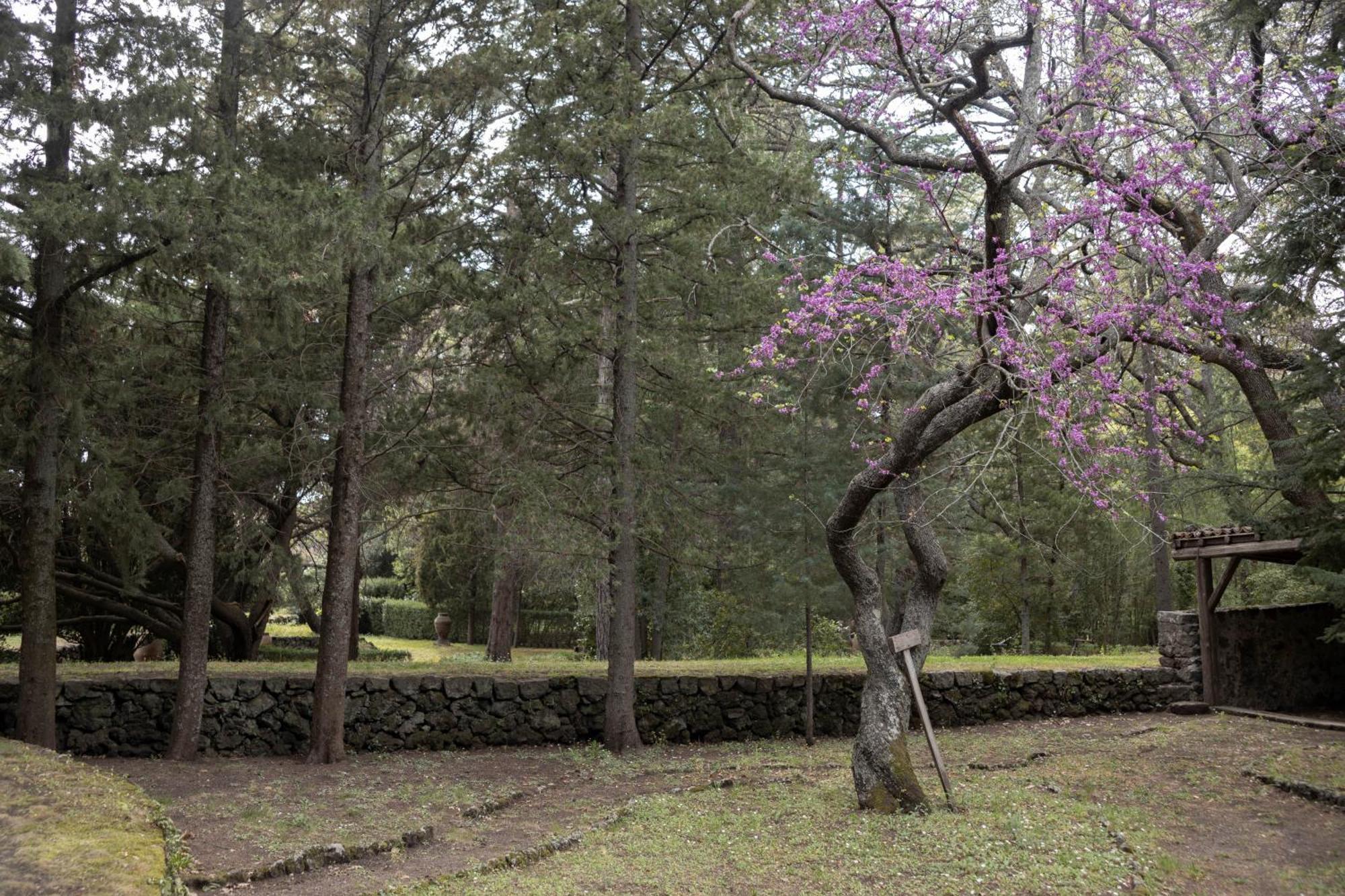 Parco Statella Villa Montelaguardia Екстериор снимка